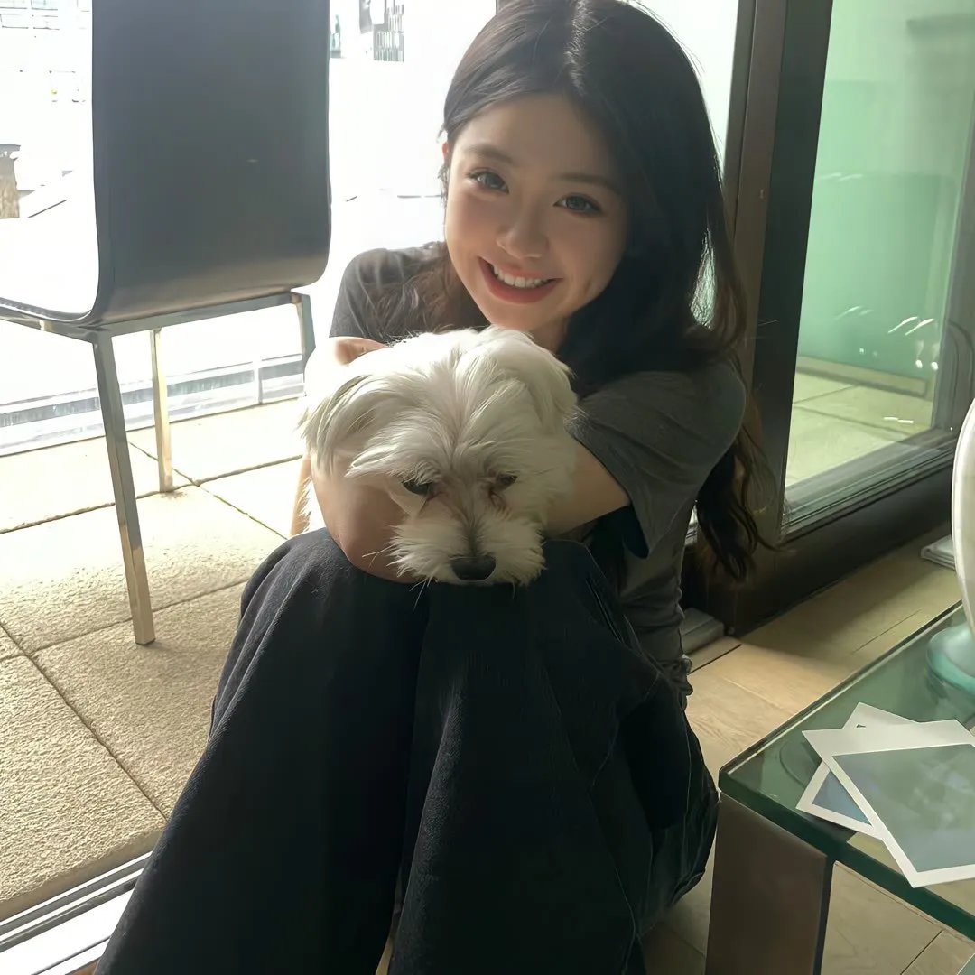万花嬉春